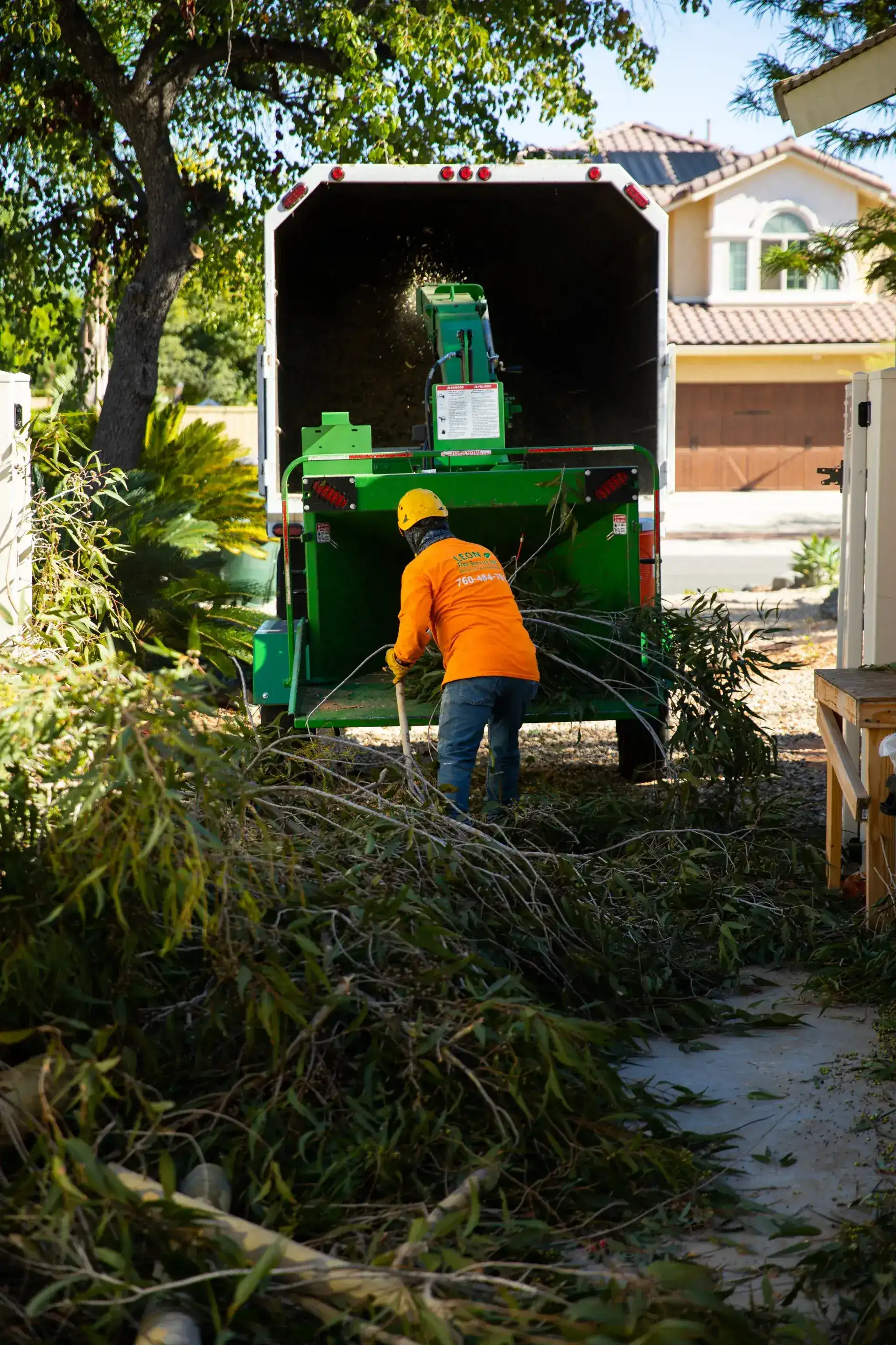 Tree crew member at work high in a large tree