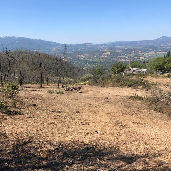 Brush cleared from a hillside yard