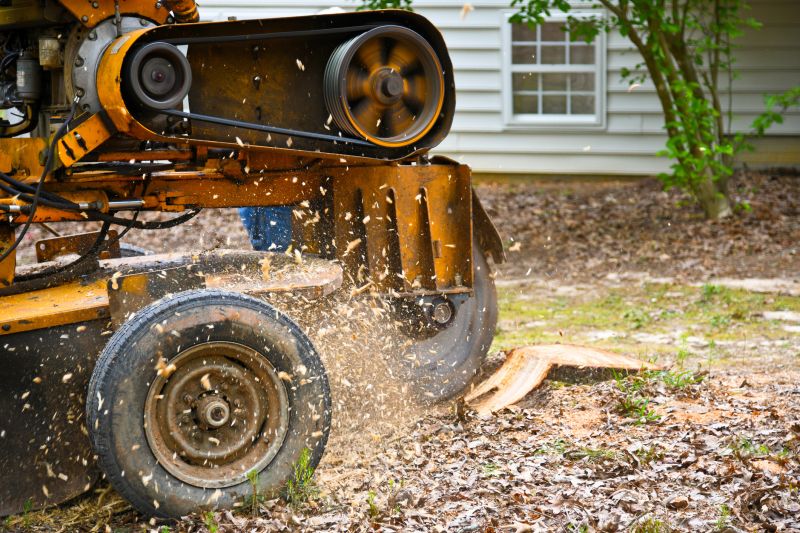 Stump grinder at work in a backyard